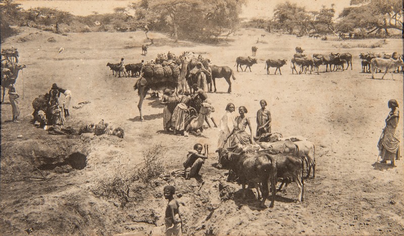 Abdirashid Ibrahim tweet media