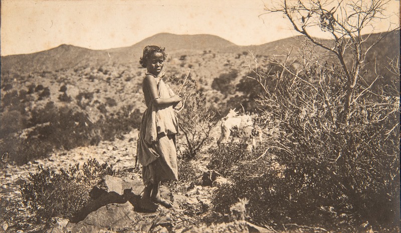 Abdirashid Ibrahim tweet media