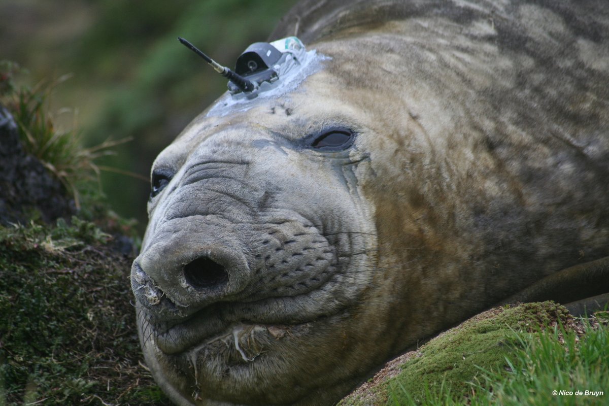 US Chemical Safety & Hazard Nonaffiliate tweet media