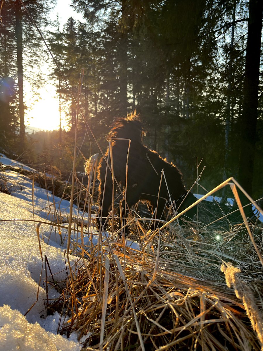 Sej pomlad je lepa, ampak zima v odhajanju jo šiša.