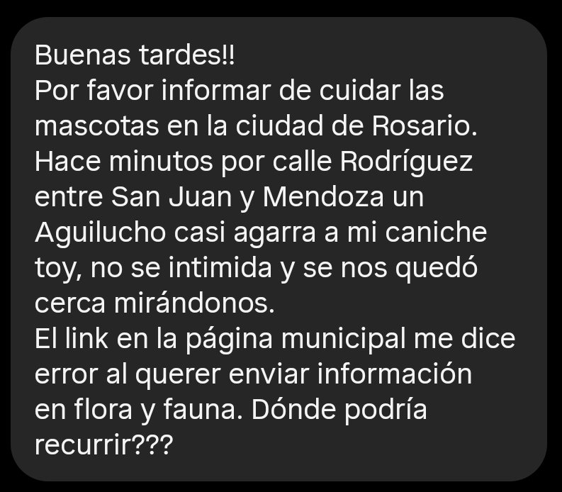 RosarioLaCiudad tweet media