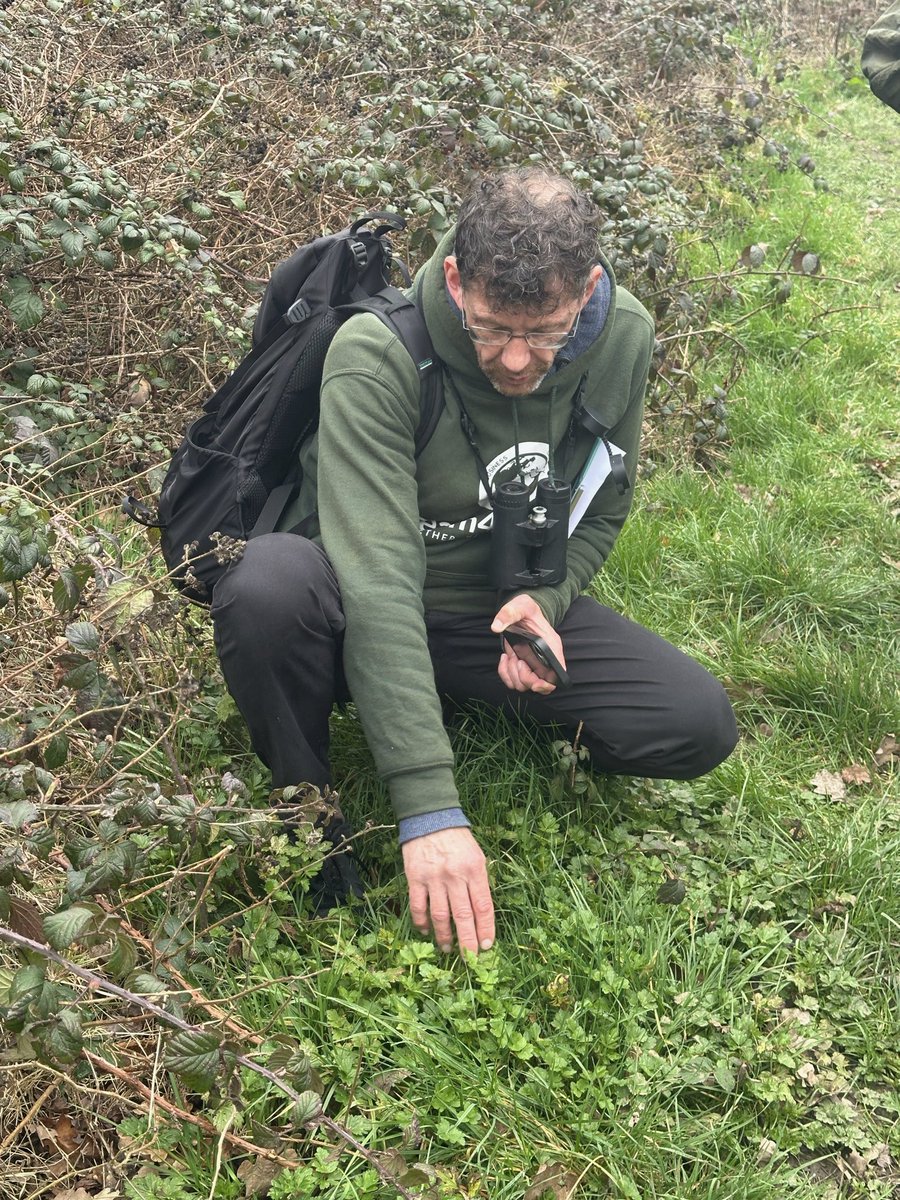 Chris Millward Jnr tweet media