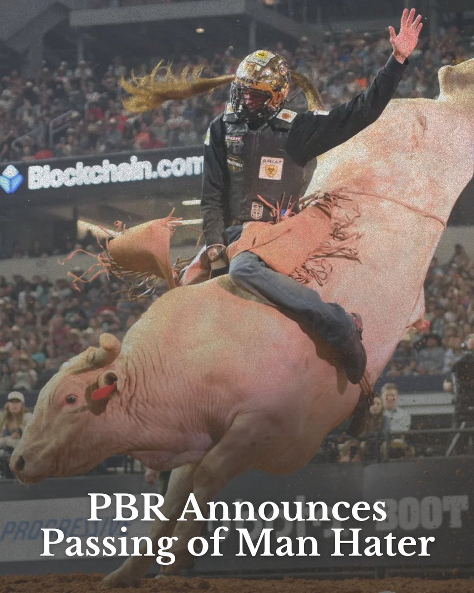 US Cowboy tweet media