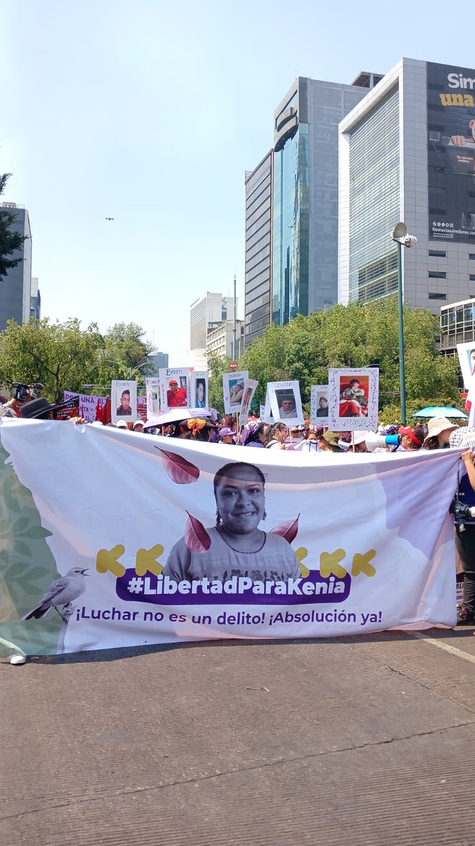 SomoselMedio tweet media