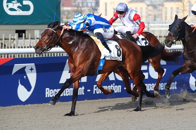 Yeguada Centurión FAN tweet media