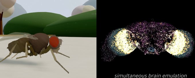 Prof. Dr. Kaan Yılancıoğlu tweet media