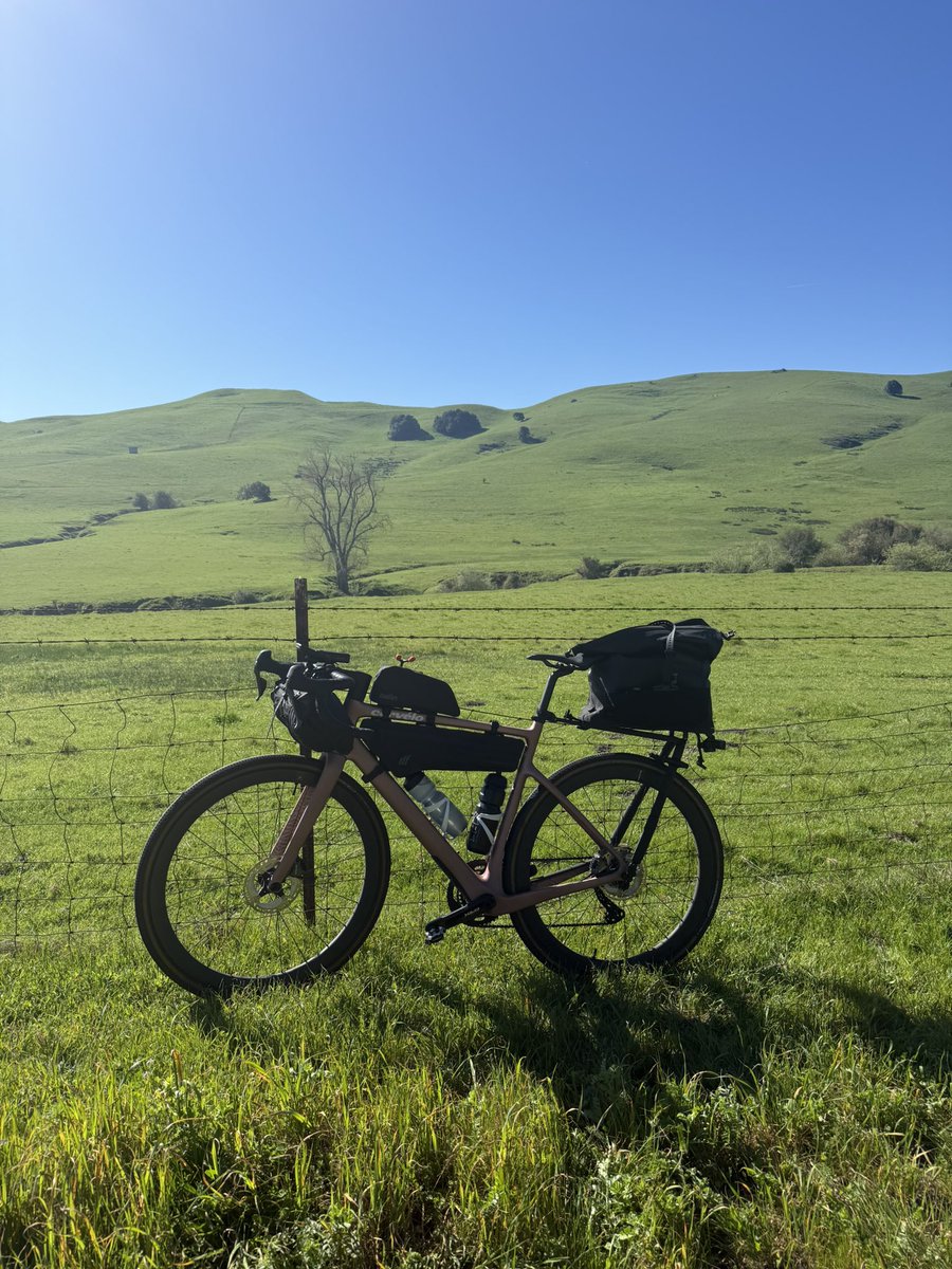 john allard tweet media