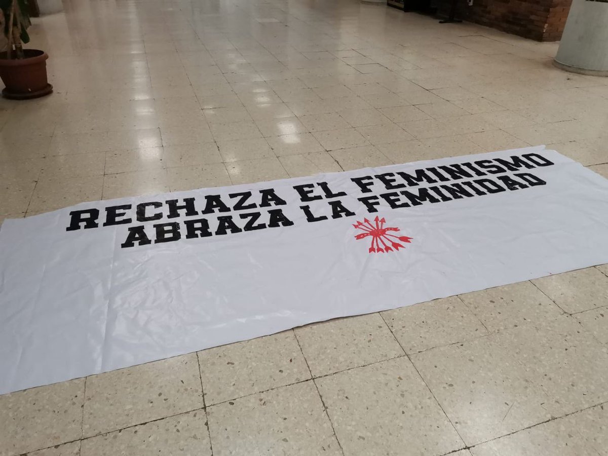 CGT UCM (Universidad Complutense de Madrid) 🇵🇸 tweet media