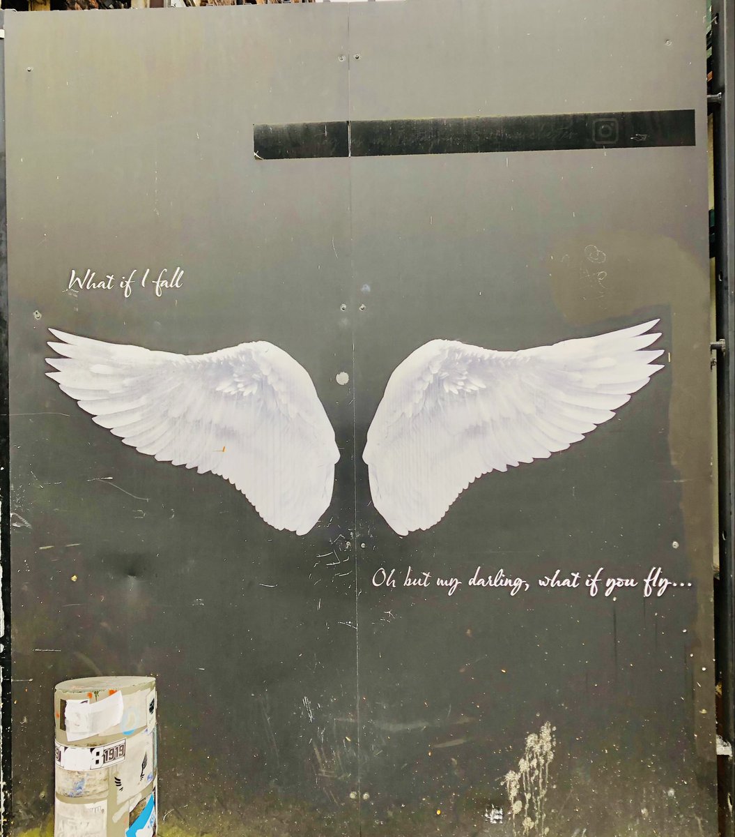 michael dillon tweet media