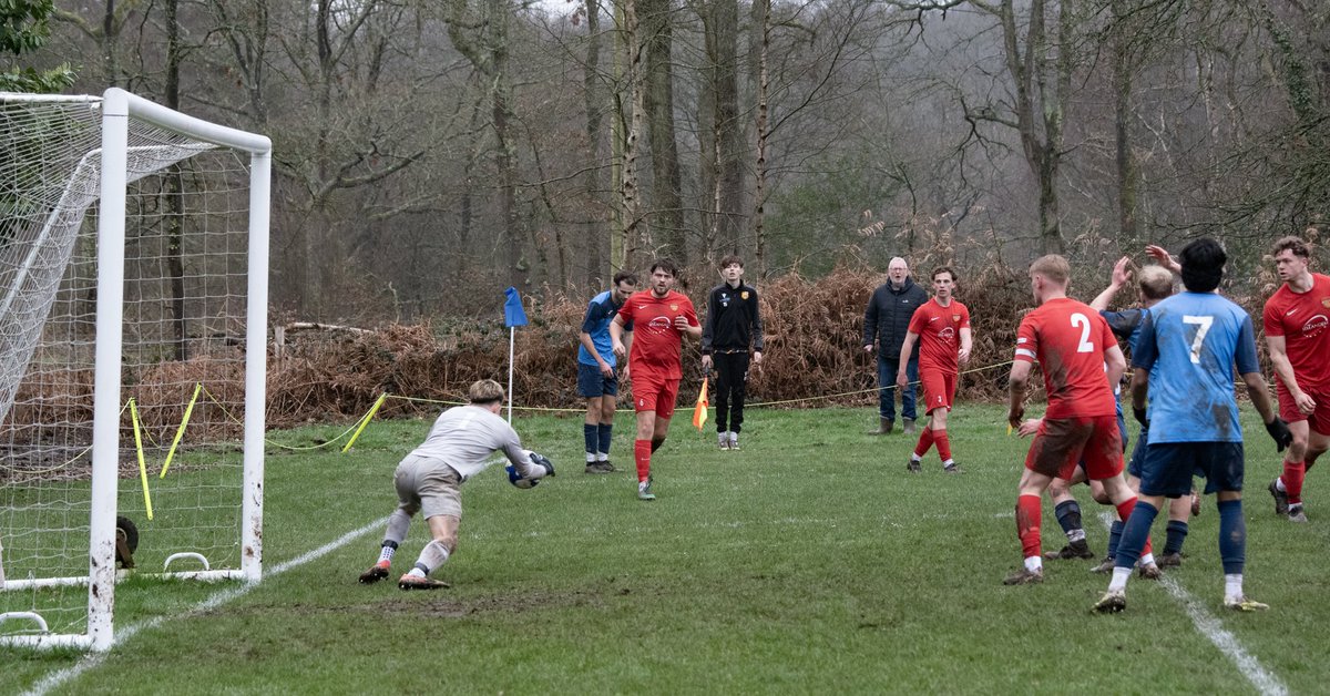 Bishops Waltham FC tweet media