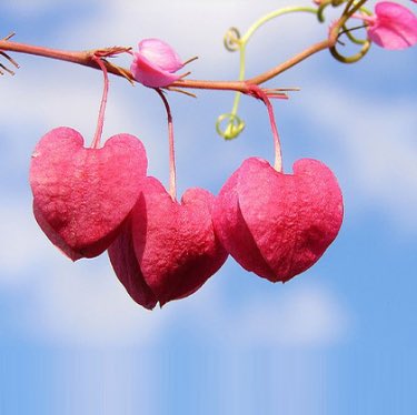 Eskilerin “yâr” dediğine şimdikiler “manita” diyor. 
Eskilerin “nâz” dediğine şimdikiler “trip” diyor. 
Eskilerin “sevda” dediğine şimdikiler “ilişki” diyor…

Kim, kime ne derse desin, yeter ki sevgi eksilmesin!