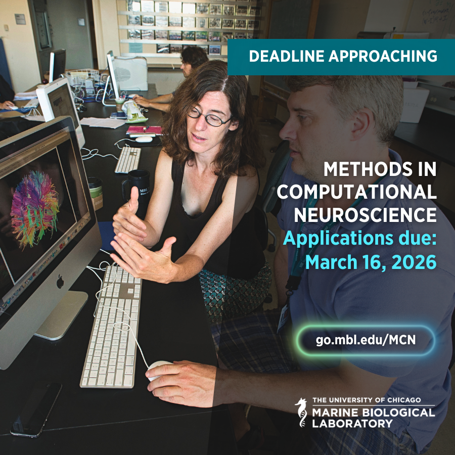 Marine Biological Laboratory (MBL) tweet media