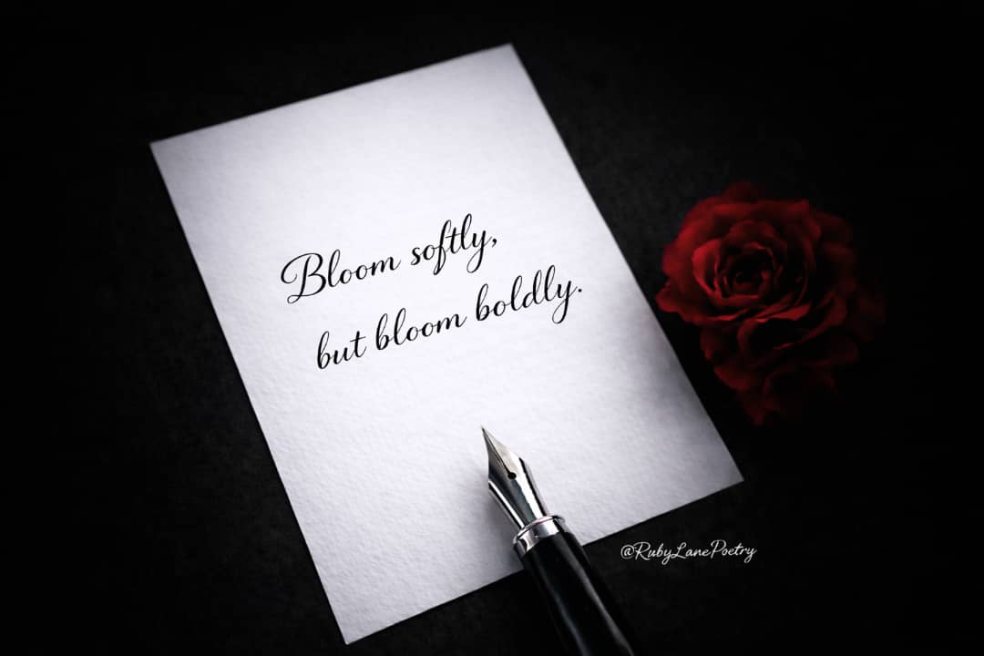 RubyLanePoetry's tweet image. Bloom softly, but bloom boldly — your light is yours alone. 🌸🖤

#BloomSoftly #BloomBoldly #RubyLanePoetry #SelfLove #PoeticMind