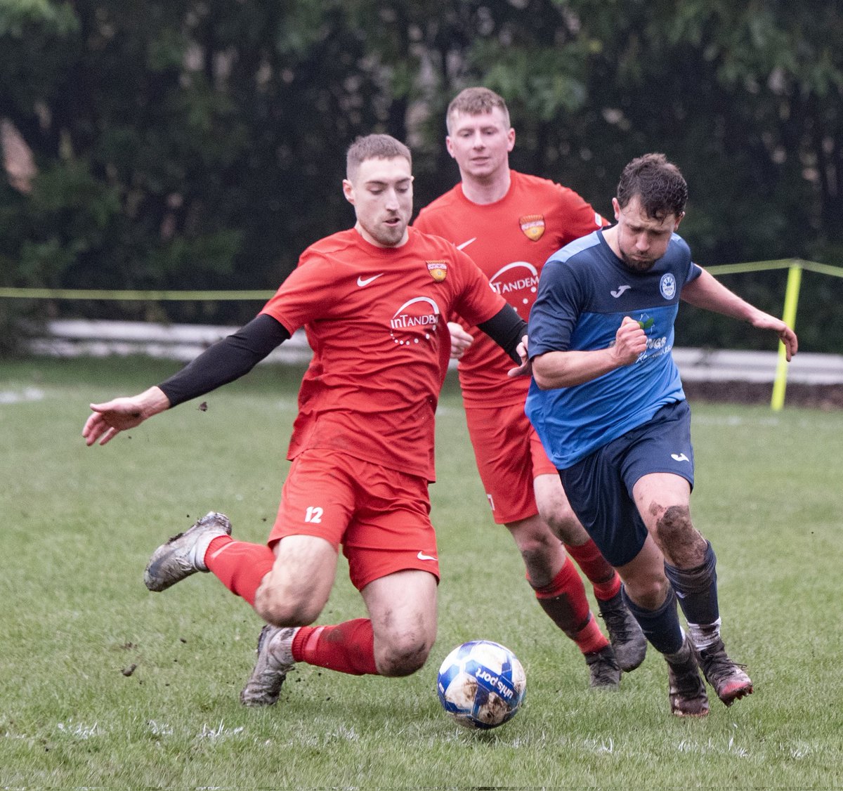 Bishops Waltham FC tweet media