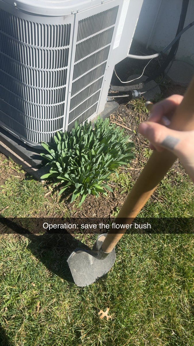 816Mystics tweet media