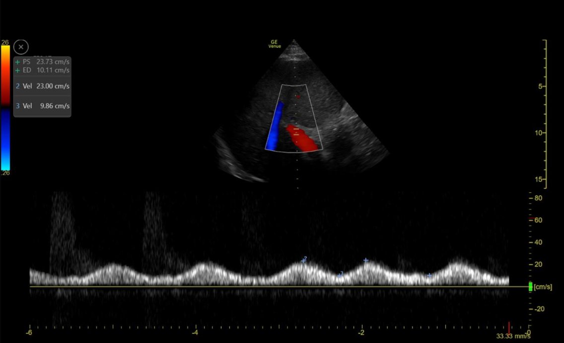 Jeff Kott tweet media