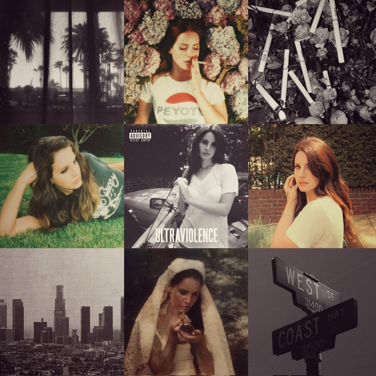 Margaret🦌 tweet media