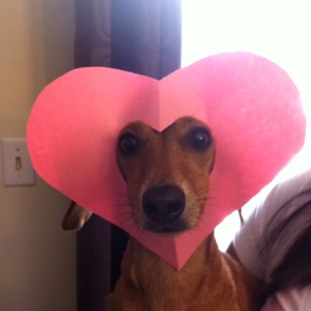 louressor's tweet photo. eu e minha luna tlgd https://t.co/JTOsw0e0lg