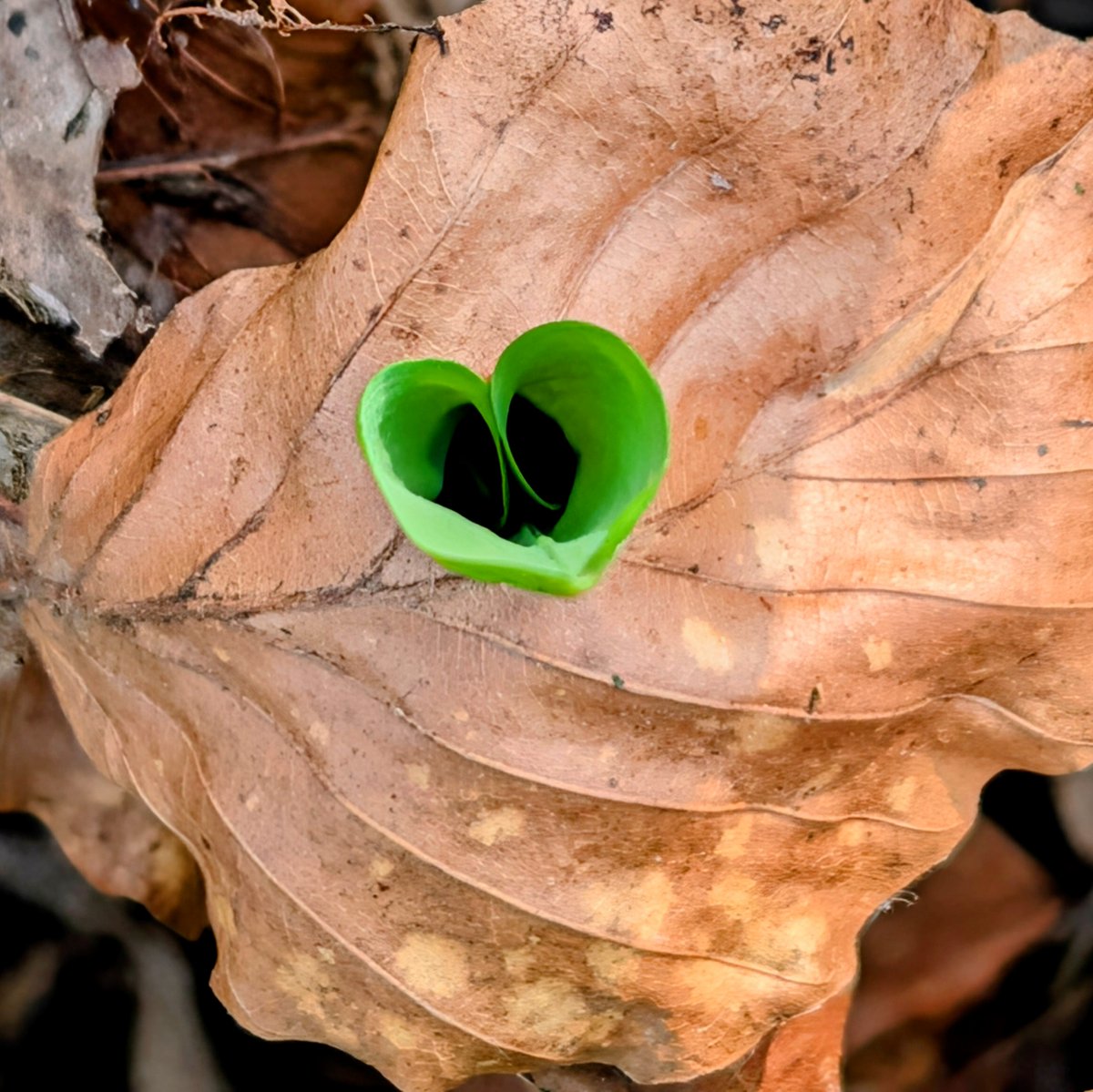 BooksBats&Blackboards tweet media