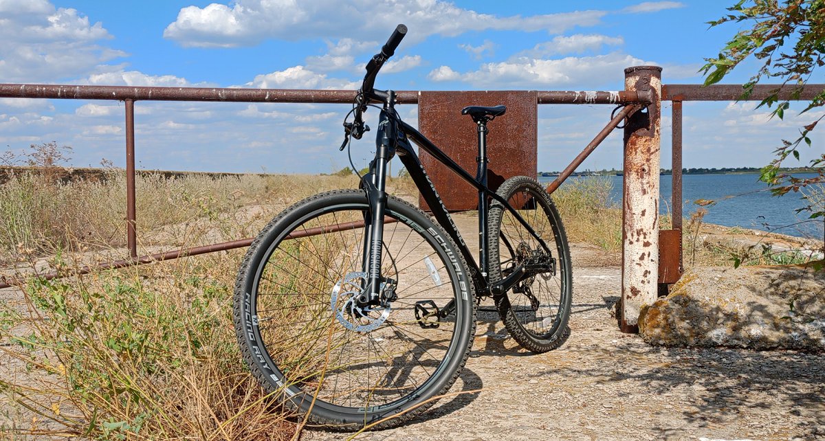 speed angel from the 9th ward tweet media