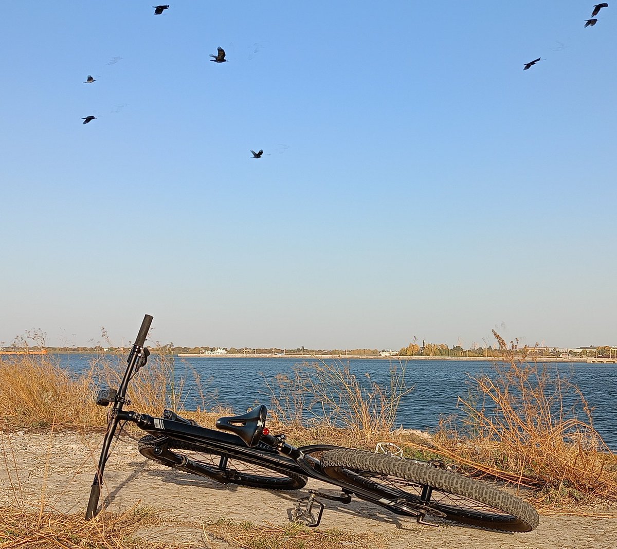 speed angel from the 9th ward tweet media