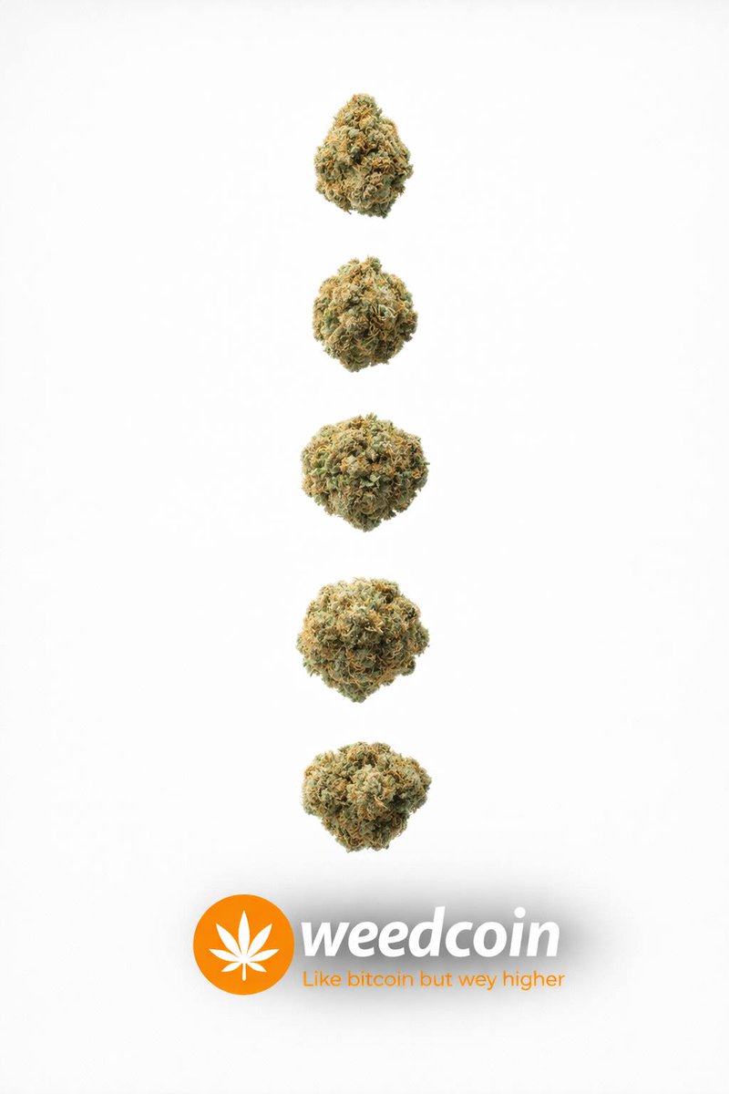 Josh__369's tweet image. Buy and hold real #communitys 

$Weedcoin like Bitcoin but way higher