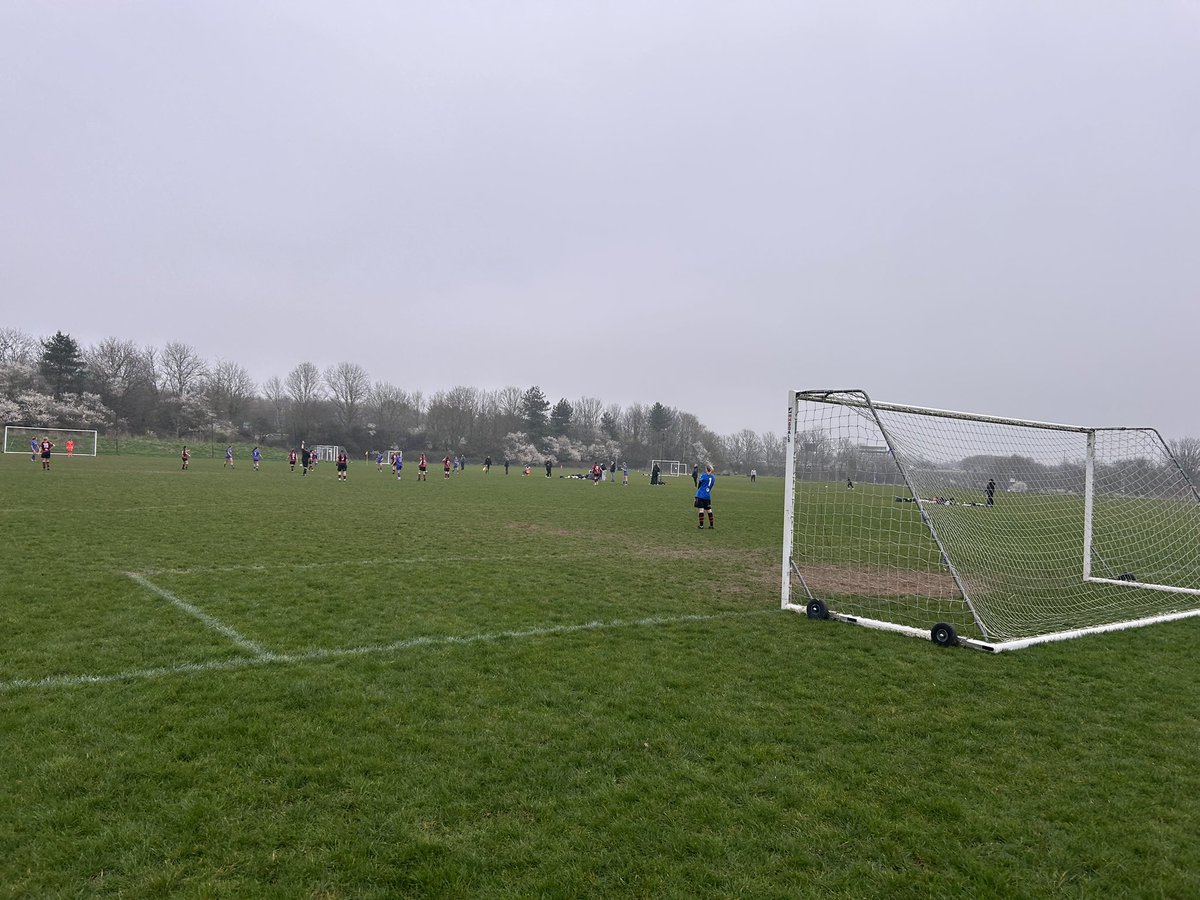 The Terrace Traveller tweet media