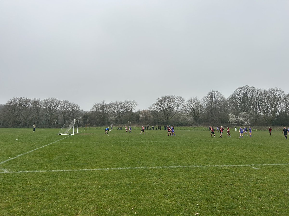 The Terrace Traveller tweet media