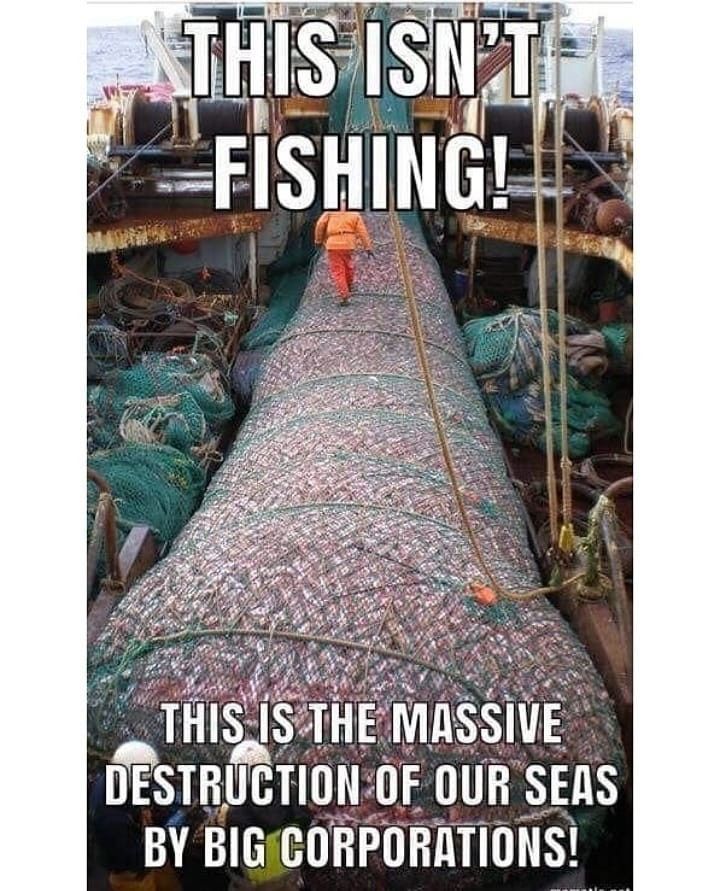 This isn't Fishing !! 😔😔
