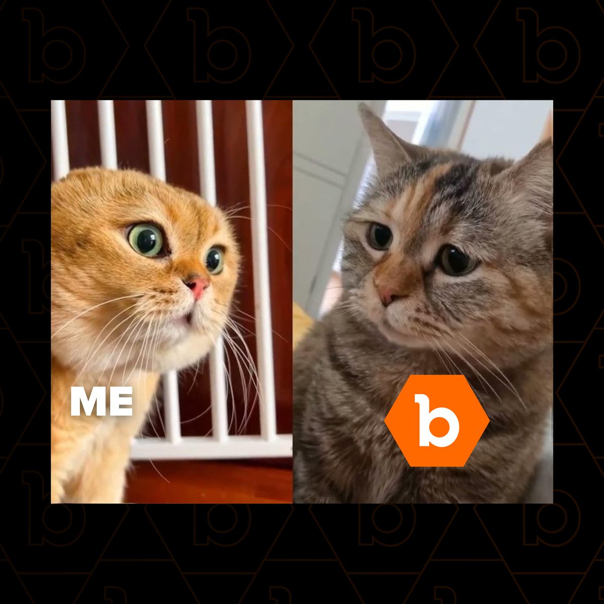 bugcrowd tweet media
