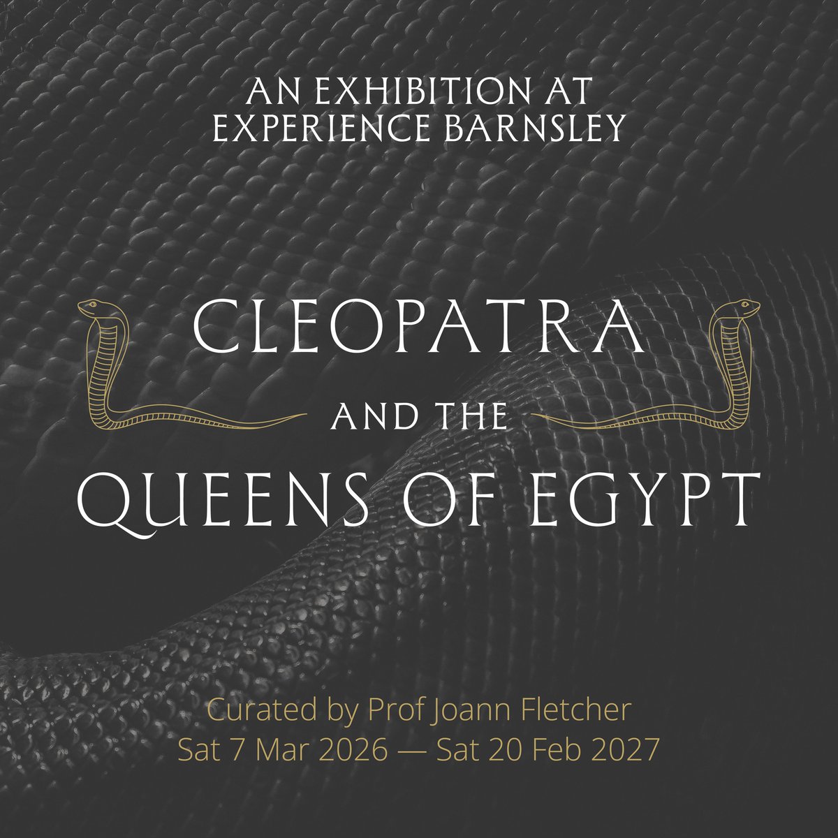 Immortal Egypt: Prof. Joann Fletcher tweet media