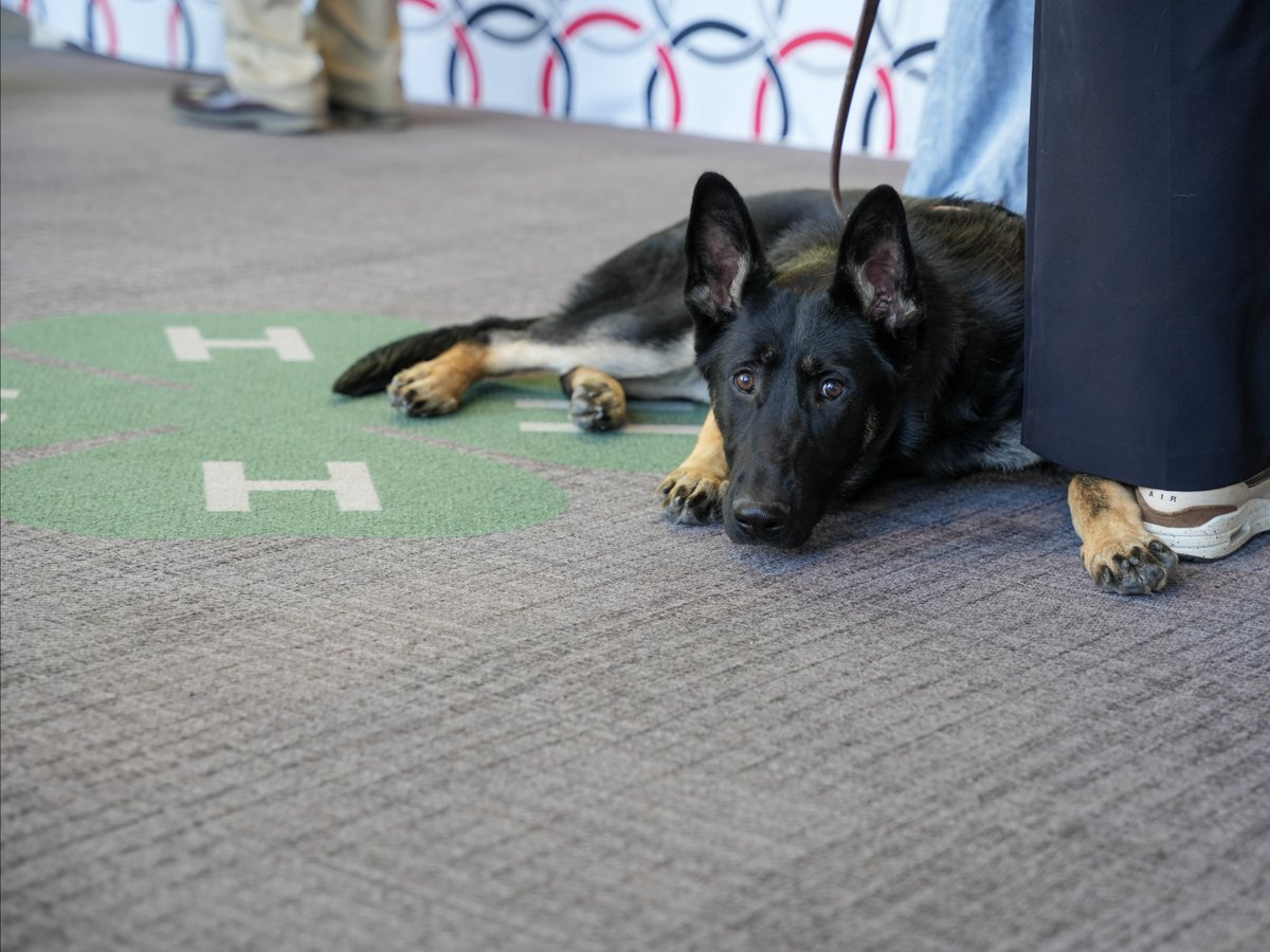 Ohio State - CFAES tweet media