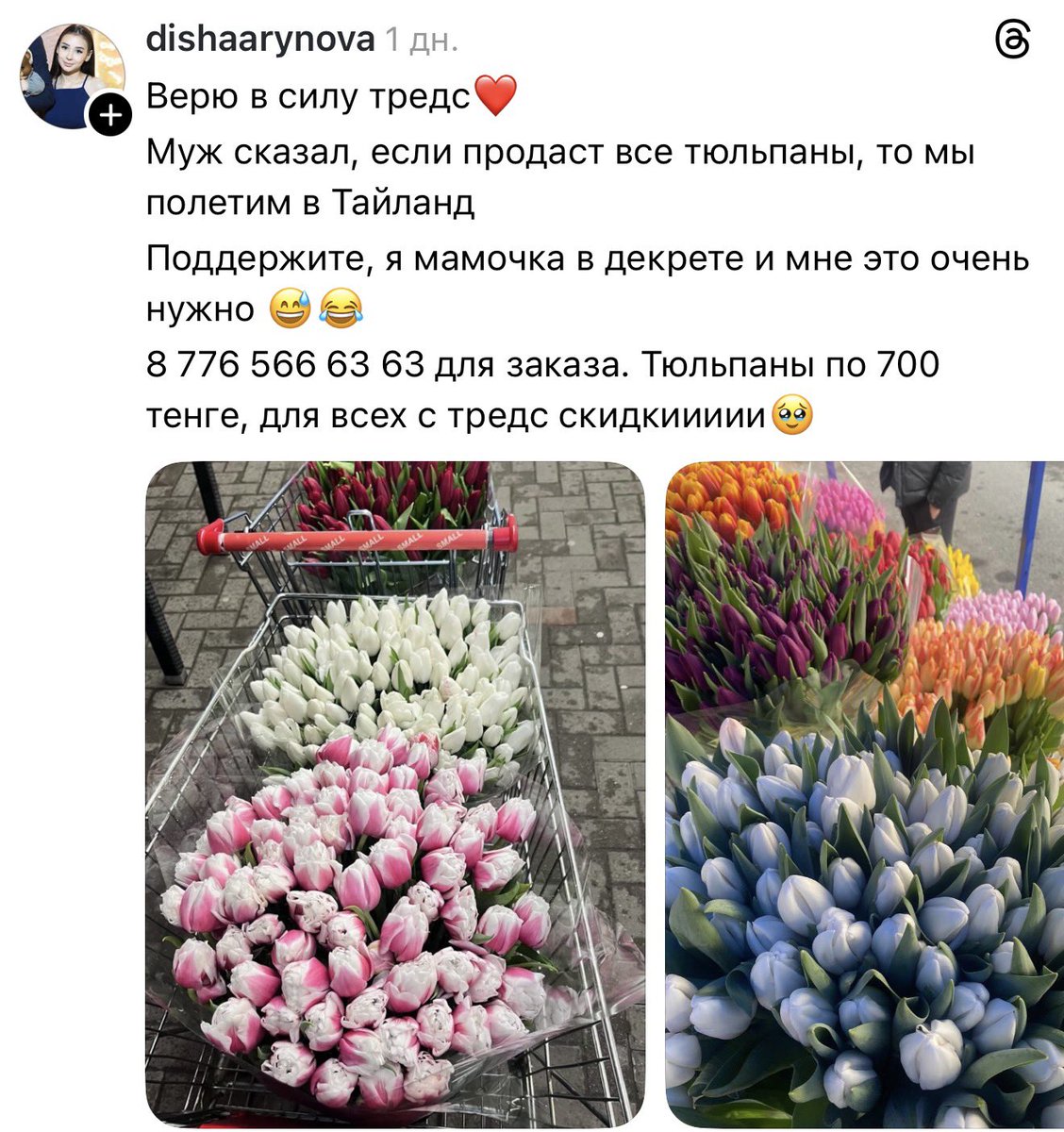 NecroТанатопрактик tweet media