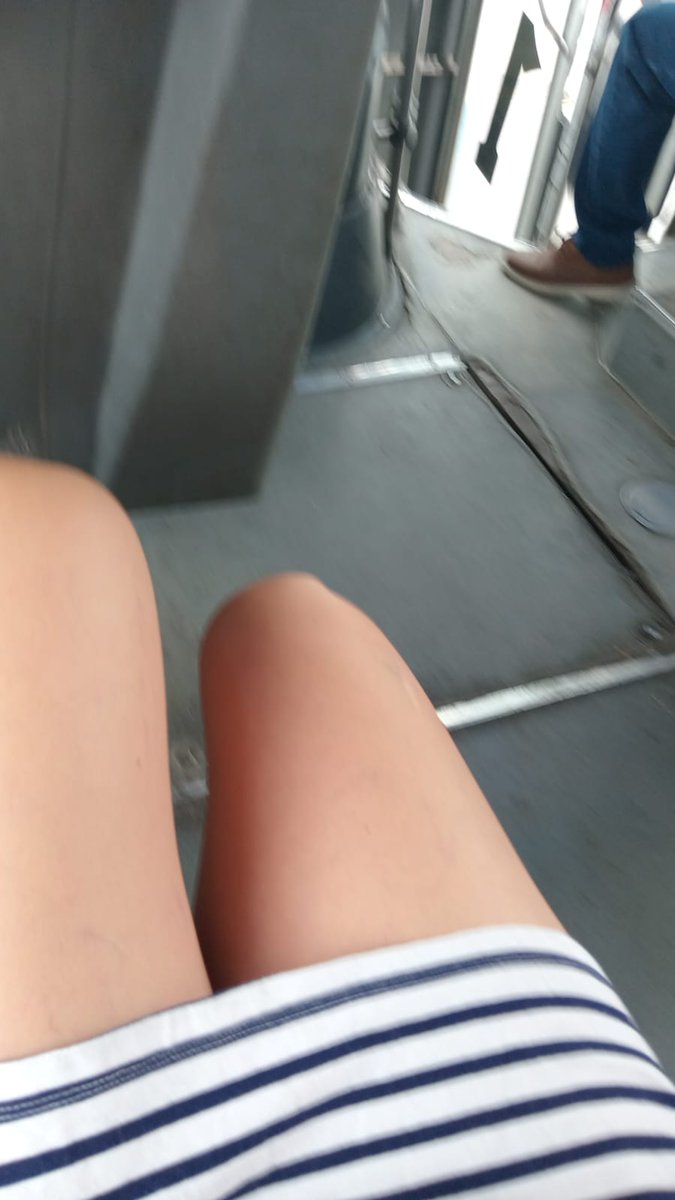 elisapetermty tweet media