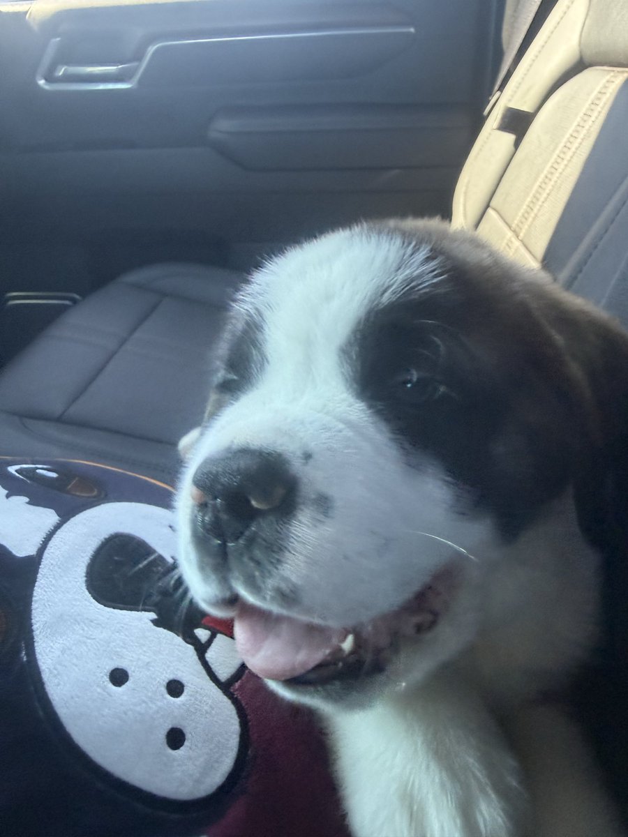 Rob Banks tweet media