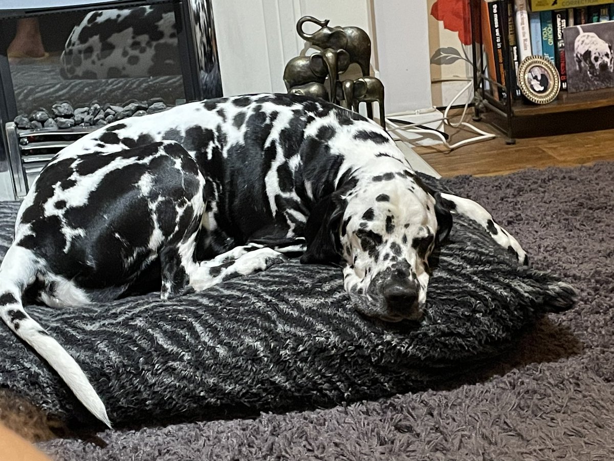 Ian Gilbert tweet media