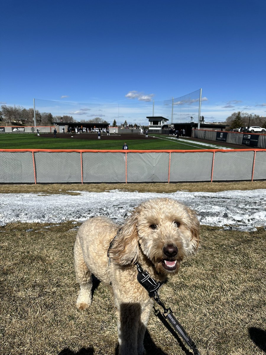 Bobby Jay tweet media