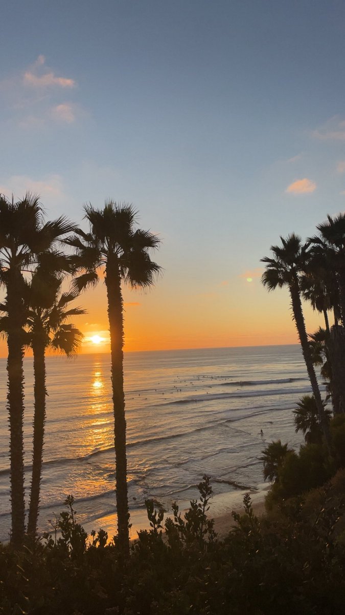 Dᵣₑw tweet media