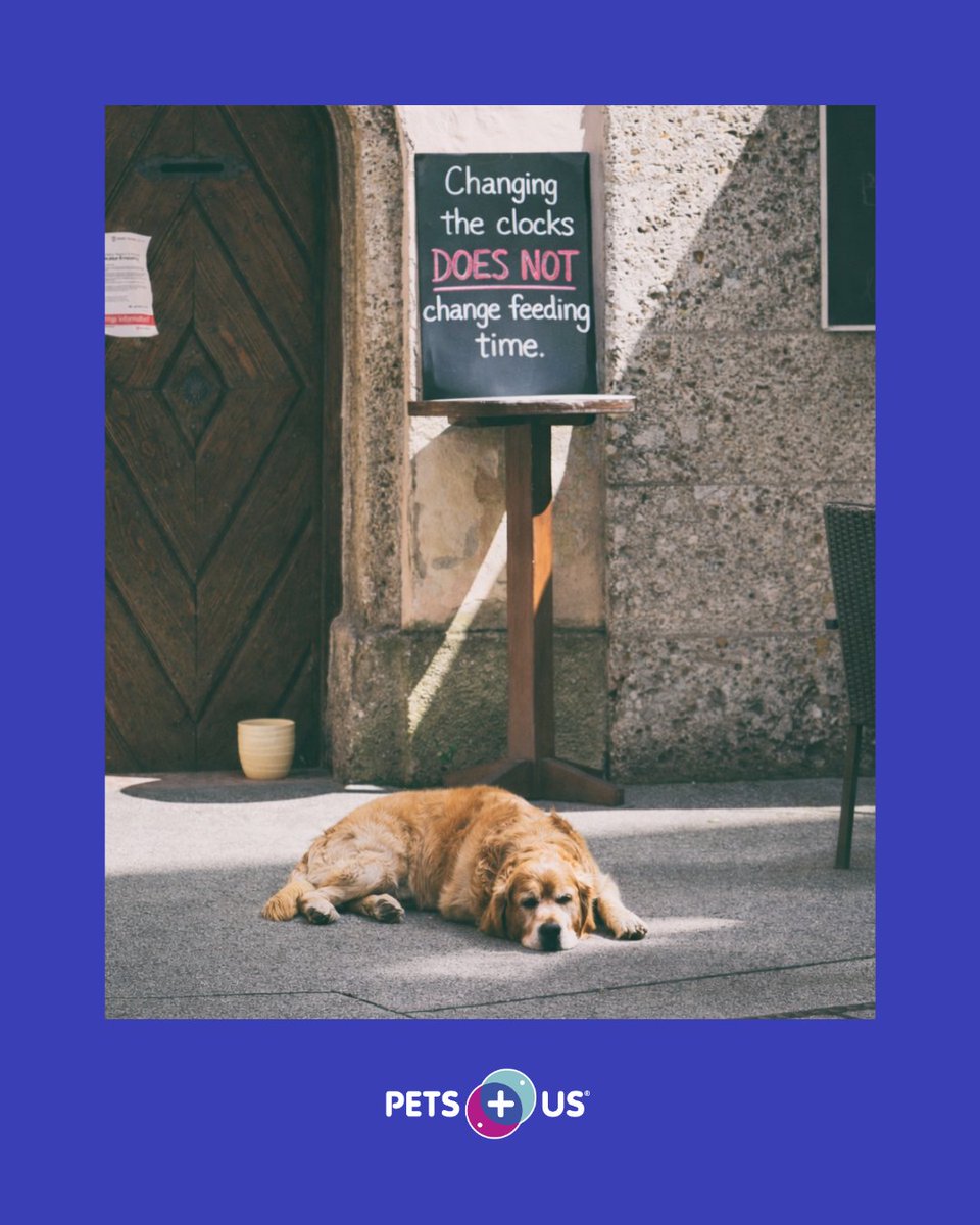 Pets Plus Us tweet media