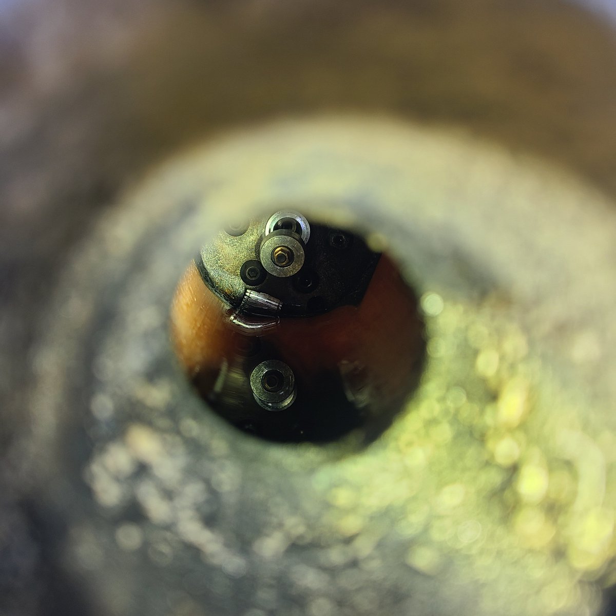 Half Cat Rocketry tweet media