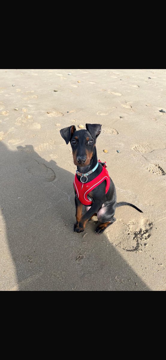 Tom Royle tweet media