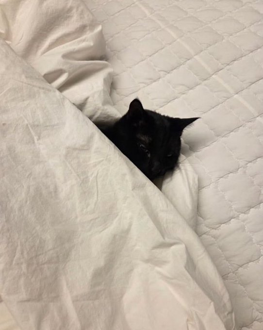 like father                                     like son