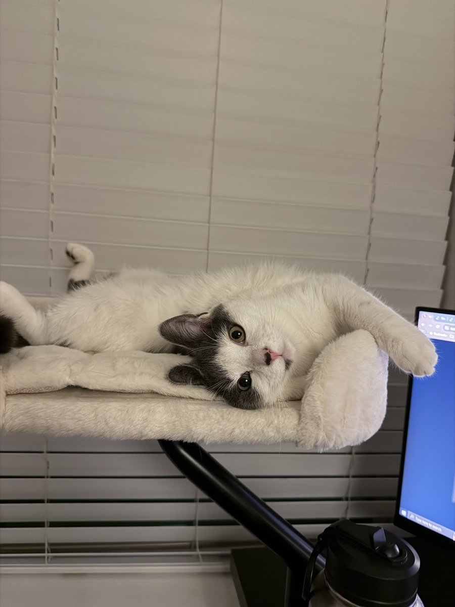 my lil 2 eye color demon