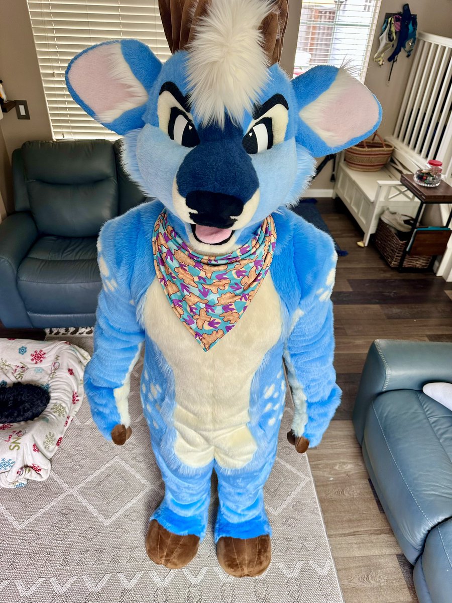 BLUEBERRY 🔜 MEGAPLEX tweet media