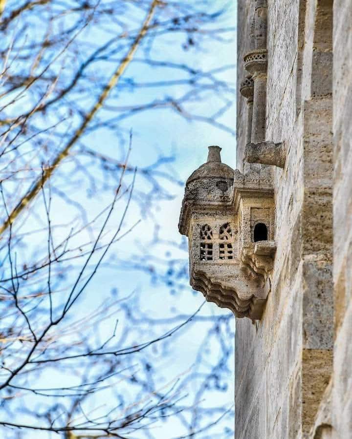 Mehmed_dinc's tweet photo. Kuşlara dahi saray yapan ulu imparatorluk. https://t.co/0z2oaWiq2P