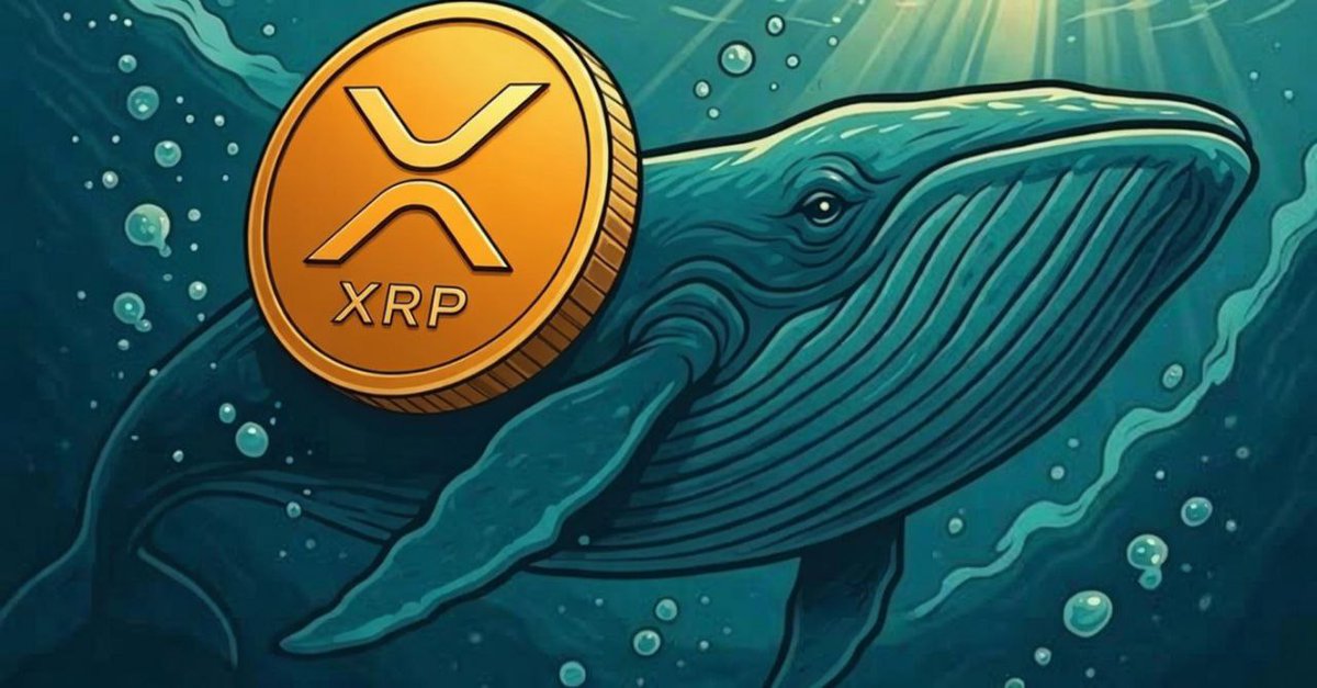 XRP Expert tweet media