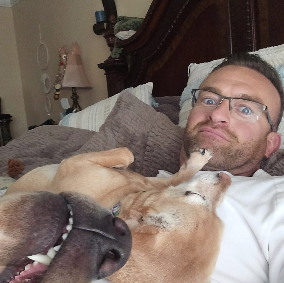 Sovereign of Friday nights. | NOT @RealNickAldis tweet media