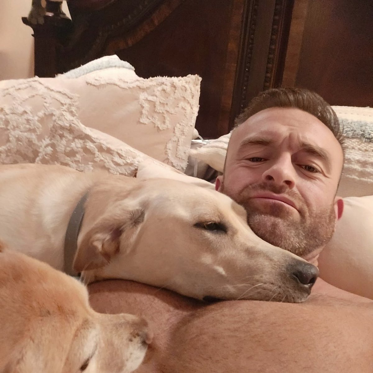 Sovereign of Friday nights. | NOT @RealNickAldis tweet media