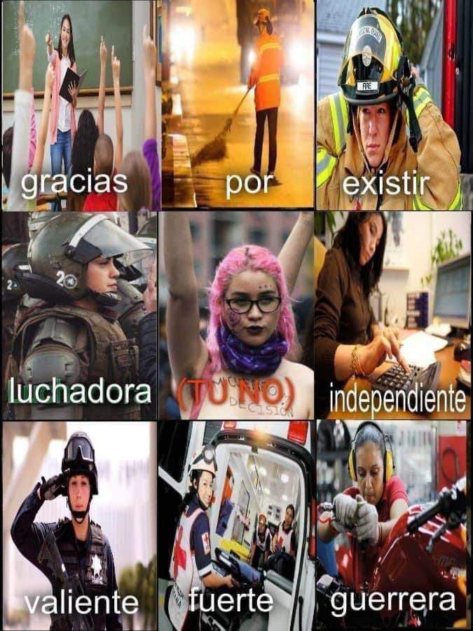 Feliz Día de la Mujer🌷