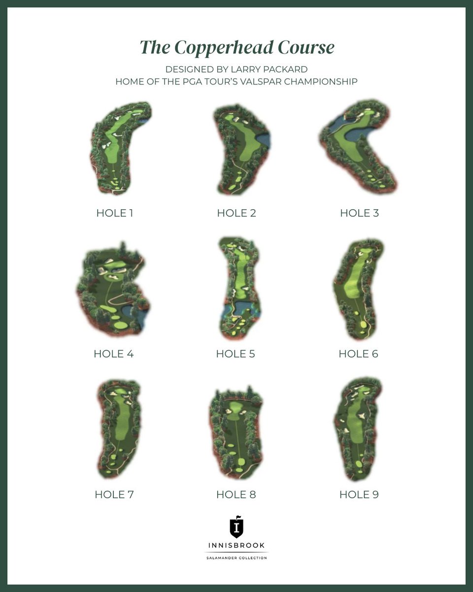 Innisbrook Resort tweet media